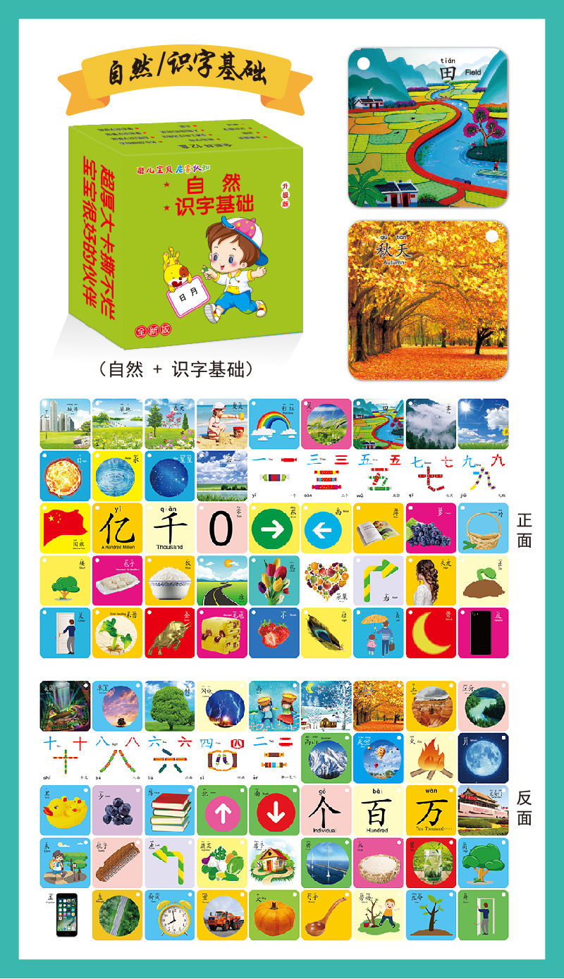 宝宝早教学习卡片幼儿童看图识字撕不烂数字英语拼音动物认知启蒙45张