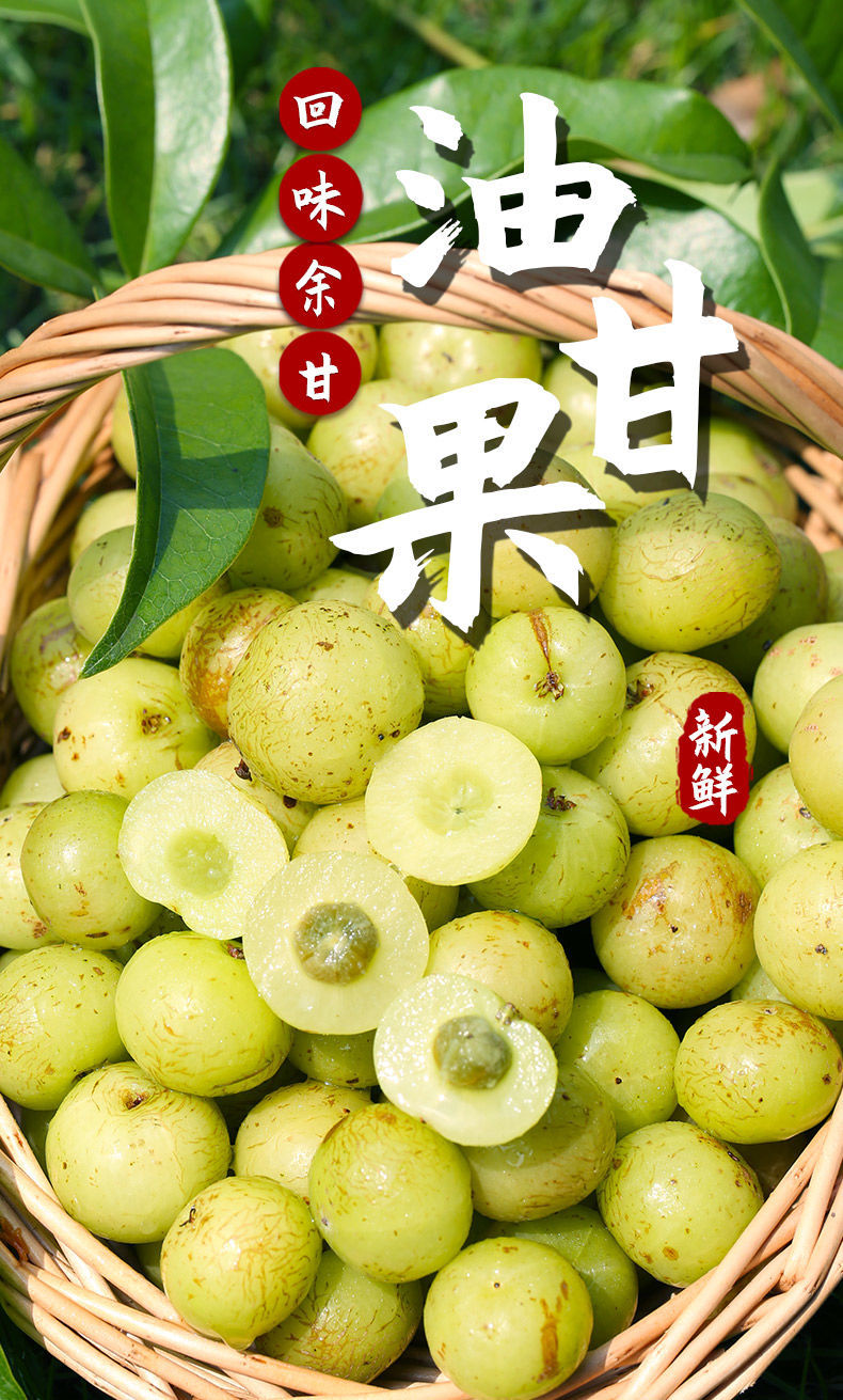 现摘现发新鲜油柑果当季余甘果回甘奶茶店专用霸气玉