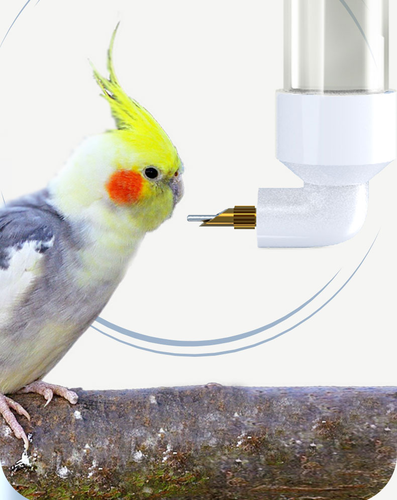 鸟用饮水器鸟喝水大中小型鹦鹉撞针水壶龙猫芦丁鸡自动喂水器 灰色