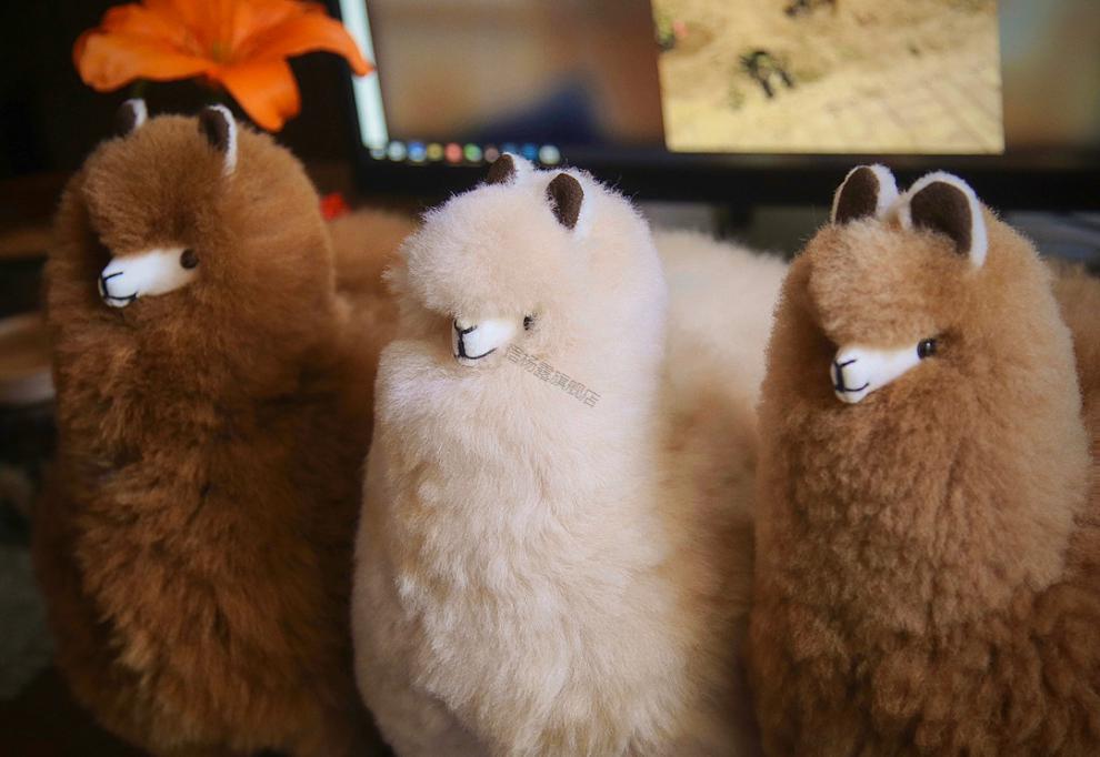 秘鲁羊驼 秘鲁品牌alpacasa 大号 手工羊驼真毛公仔毛绒玩具玩偶 小鬼