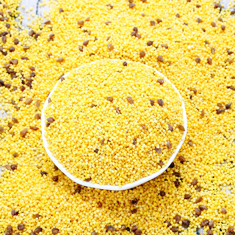新米农家自产月子米苦荞小米五谷杂粮粥1斤5斤小黄米 小米苦荞5斤独立