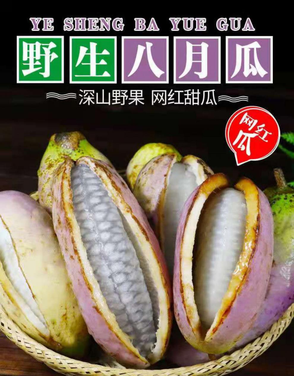 媚调【顺丰精选】四川野生八月瓜 9月炸当季新鲜水果5斤预知子牛卵坨