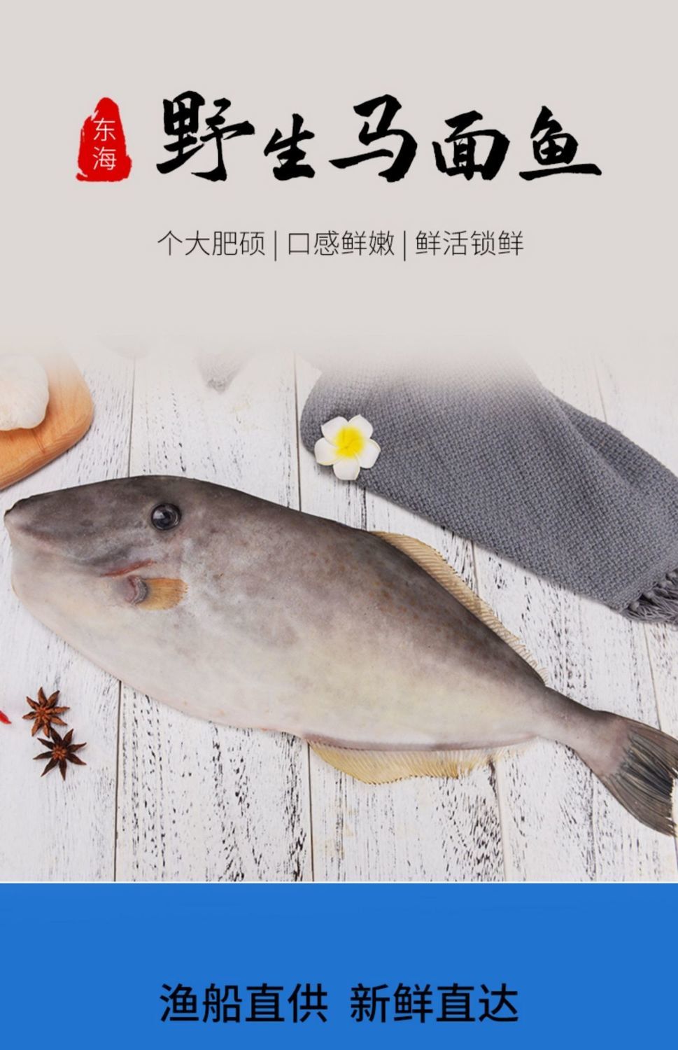 东海新鲜马面鱼剥皮鱼扒皮鱼耗儿鱼剔皮鱼皮匠鱼面包鱼烧烧角 新鲜