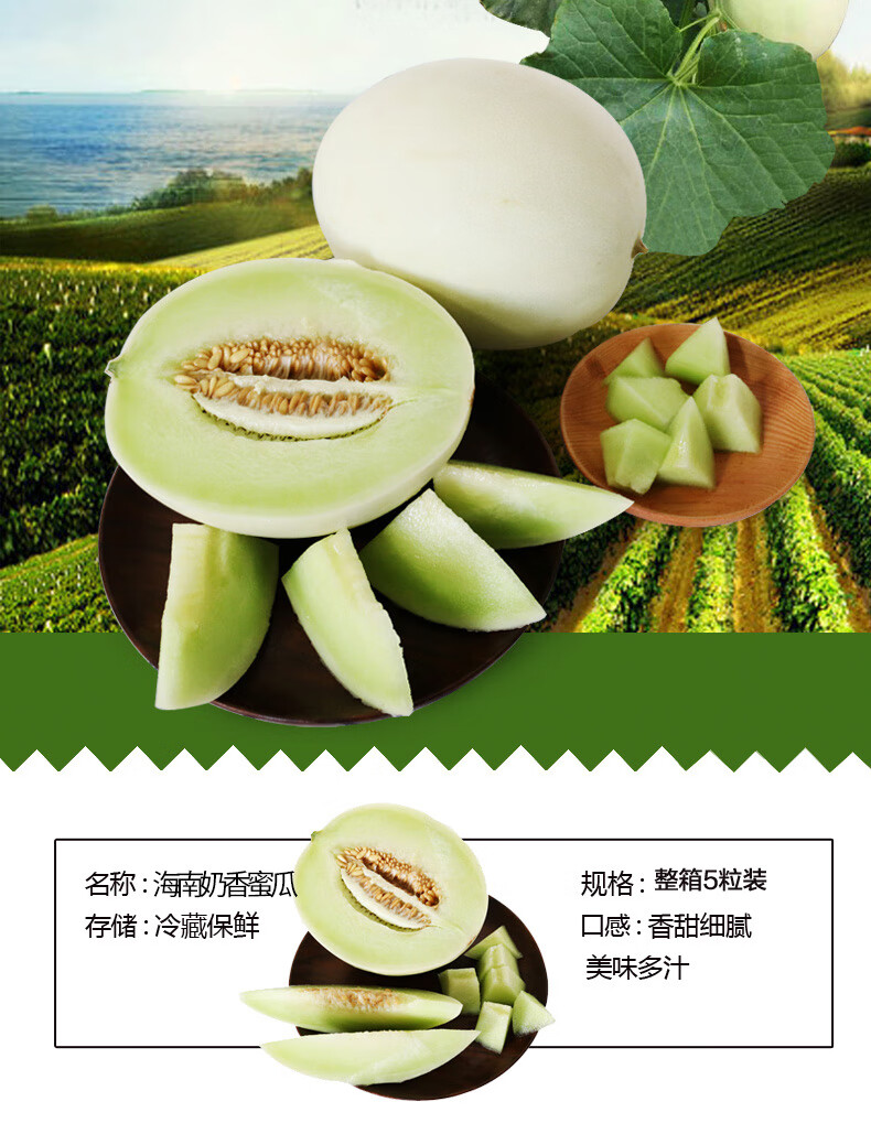 【顺丰直达】北京当日达海南奶香蜜瓜玉菇香瓜甜瓜新鲜5粒15斤新鲜