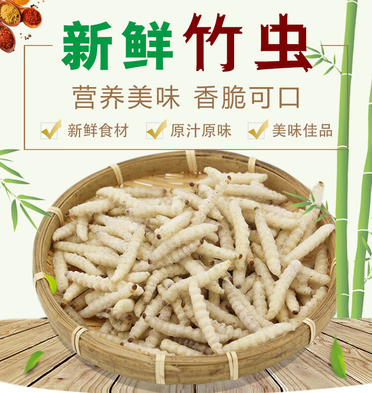 棠鲜生 竹虫 新鲜 竹节虫 新鲜速冻 竹蜂 竹笋 蛆竹 蛹 昆虫 宴小吃