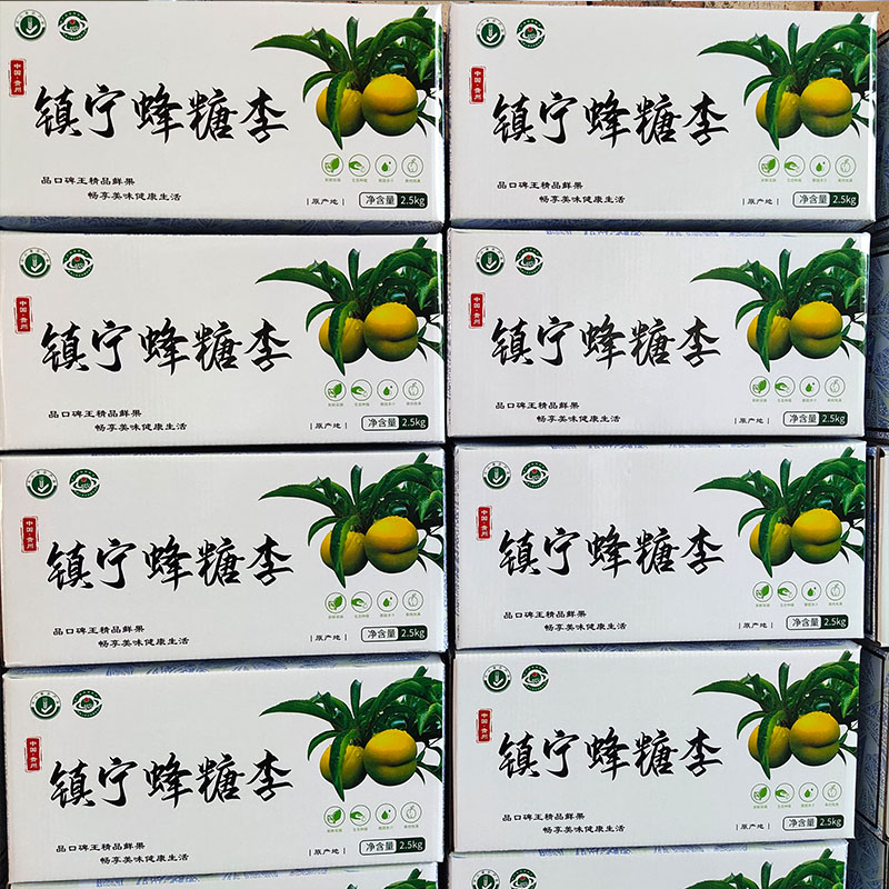 贵州六马蜂糖李5斤大果蜂蜜李空心青脆脱骨李子新鲜应季水果 2500g 50