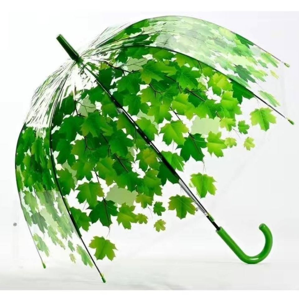 新品透明雨伞时尚文艺小清新树叶伞创意长柄伞公主绿叶枫叶樱花拱形伞
