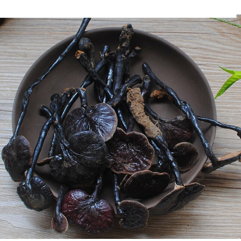 海南五指山原生态野生灵芝竹灵芝生态野生250g整枝竹灵芝 250g