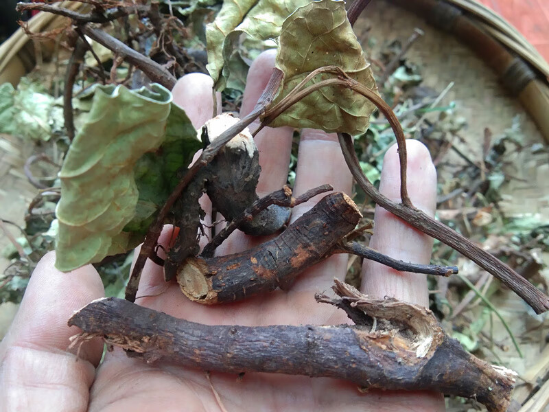 【官方旗舰】贵州 地瓜藤 现晒 野地瓜根地果全草干货500g【图片 价格