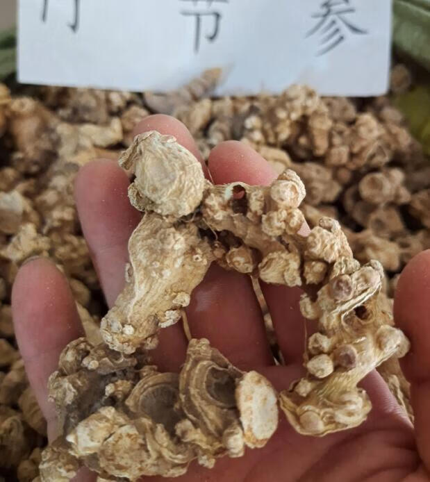 精选 竹节参 竹节参 竹山漆 200g 竹节三七 白三七【图片 价格 品牌