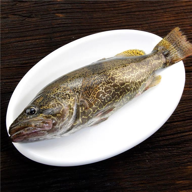 纯筒鳜鱼鲜活臭桂鱼活鱼波纹淡水鱼现杀新鲜季花鱼 千岛湖精品鳜鱼1斤