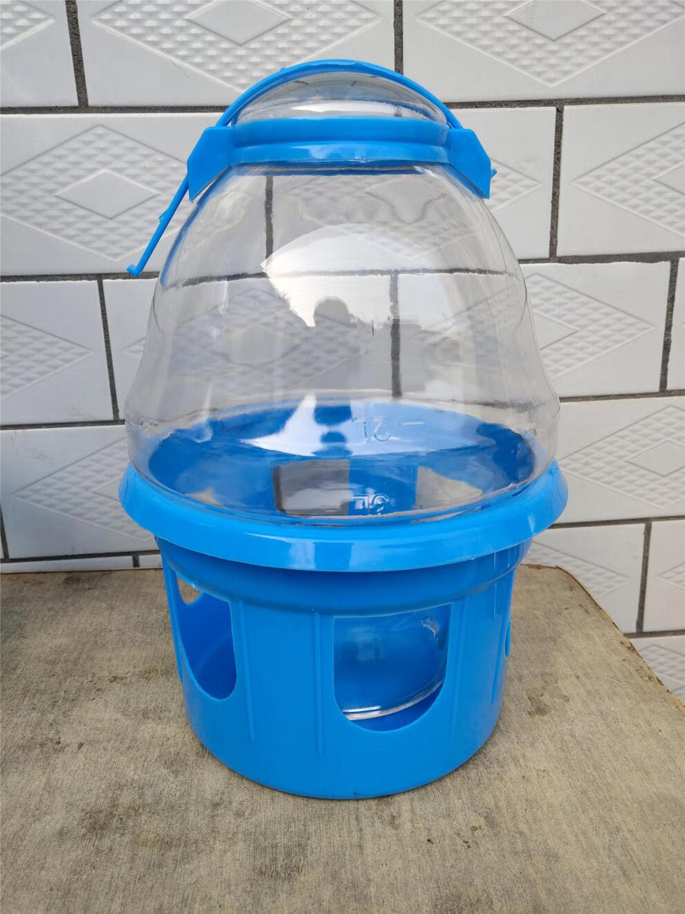 dog鸽子饮水水壶自动喂水器 信鸽赛鸽 鸟类喂水水槽 鸟水壶鸽子用品