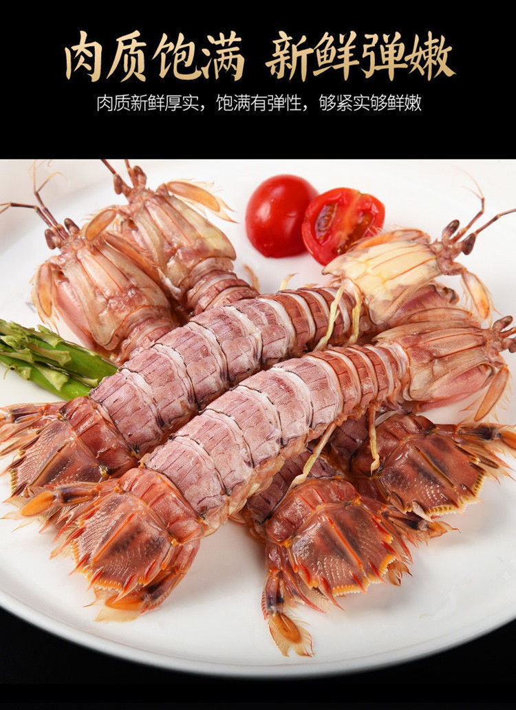 超大鲜活蒸熟皮皮虾公母虾爬子特大新鲜海鲜海虾琵琶虾姑活虾虾婆 普