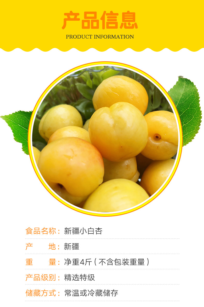 fgacct顺丰空运新疆小白杏新鲜水果轮台库车白杏子甜杏特产应当季整箱