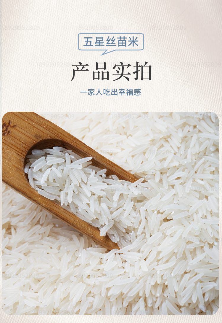 台山丝苗大米10kg21年新米五星广东象牙小农油粘米煲仔饭专用 【五星