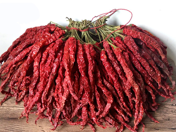 贵州大方特产皱椒之乡 二荆条辣500g干辣椒毕节皱椒干辣子 椒干辣子