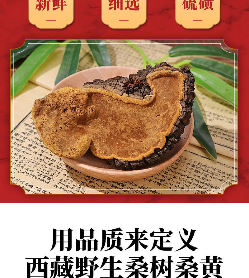 桑树桑黄黄灵芝西藏金边 九九和仁 野生桑黄500克【图片 价格 品牌