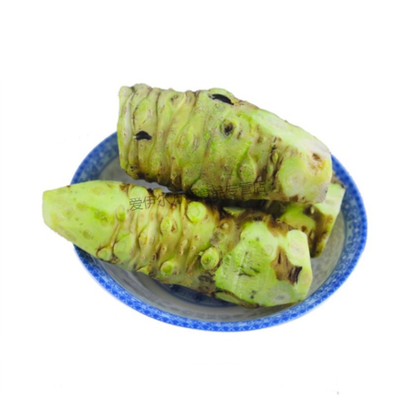 云南新鲜山葵鲜山葵芥末根大菜园寿司芥末原材料按顺序发货不接急单
