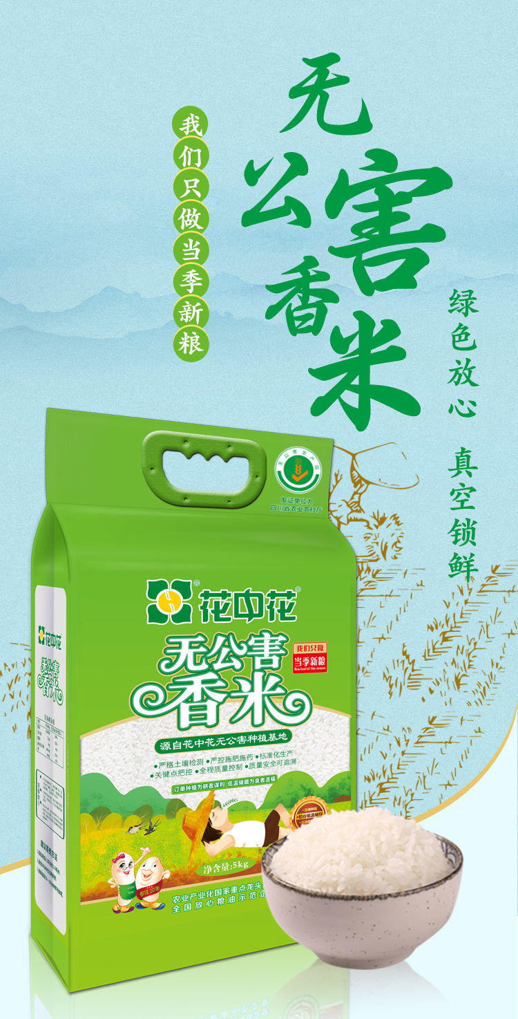 花中花长粒香米 5kg/10斤 花中花 无公害香米 当季新米 生态大米 10斤