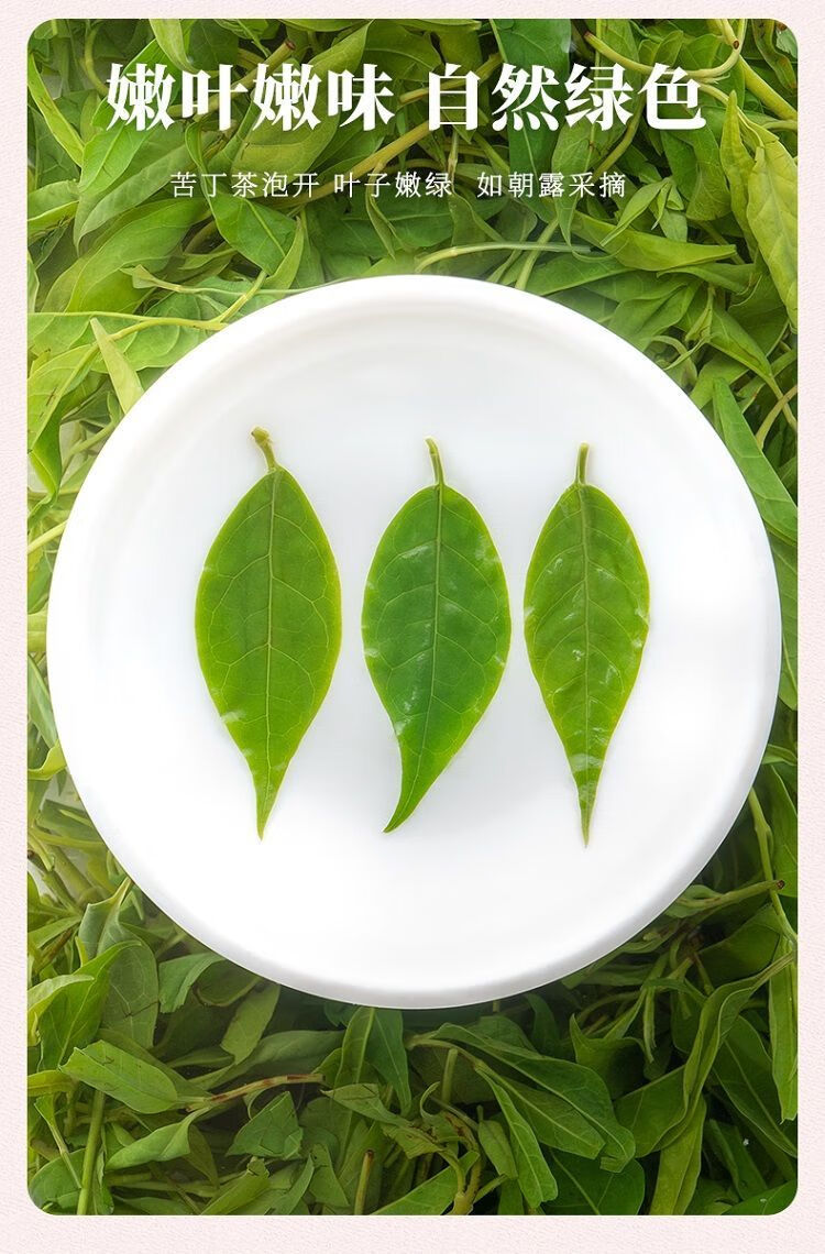 小叶苦丁米芽茶嫩叶2022新茶四川毛冬青嫩芽茶叶青山绿水明前头采 米