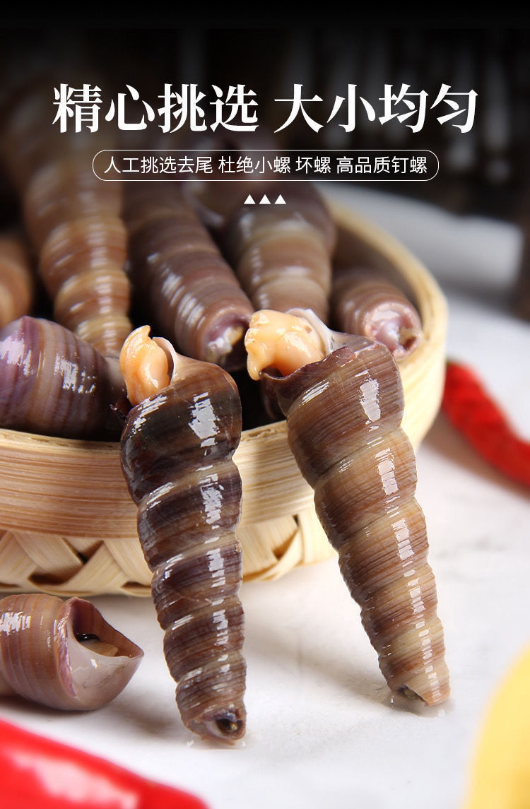 鲜活钉螺去尾免处理新鲜海螺丝钉螺海鲜水产钉螺1斤装