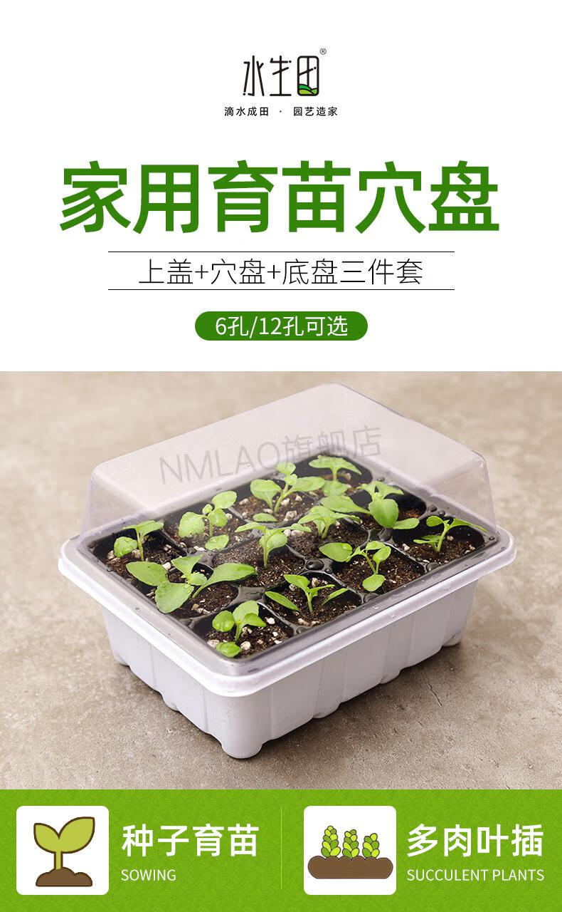 玉米辣椒西红柿育苗托盘 扦插育苗穴盘育苗神器专用盆营养杯塑料钵长