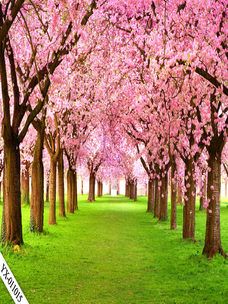 直播背景布3d立体直播间装饰主播竹林山水田园外景快手网红背景墙