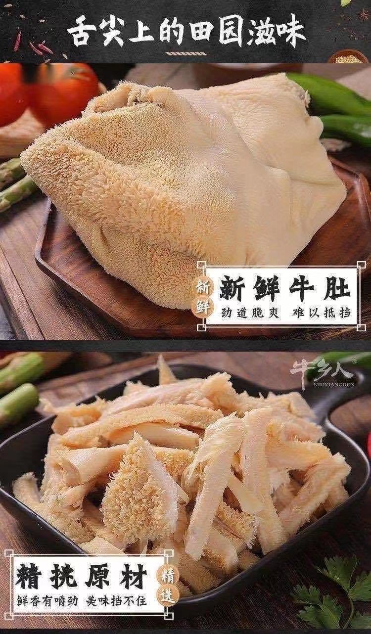 新鲜牛肚子火锅食材冷冻生金钱肚毛肚整块黄牛肚广纳力驰精品牛肚3斤