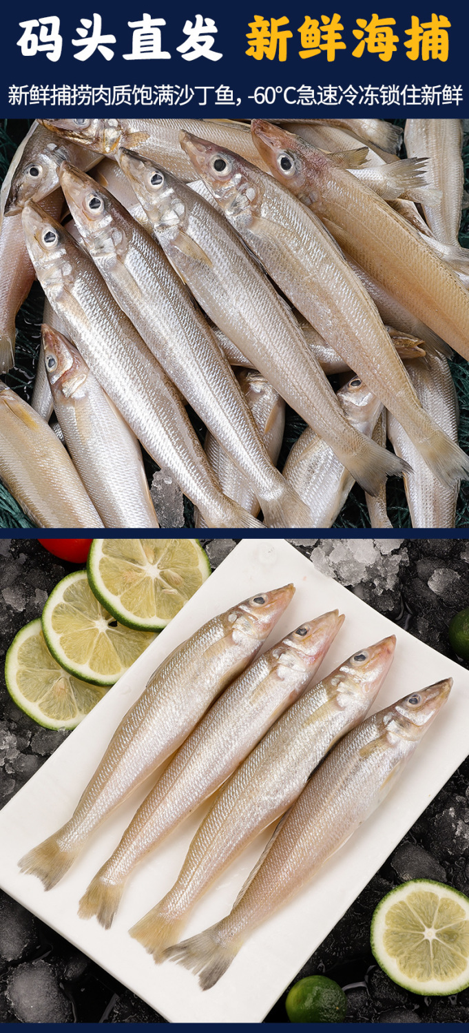 【湛江特产】沙丁鱼新鲜海捕深海鱼鲜活冷冻速冻鲜海鲜水产沙尖鱼 特