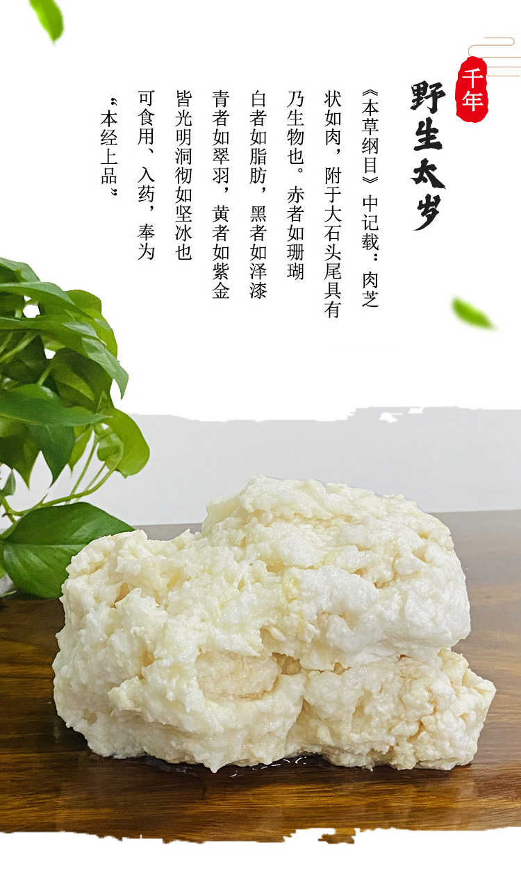 野生石太岁肉灵芝整体白肉太岁活体泡水100g长白山溶洞太岁