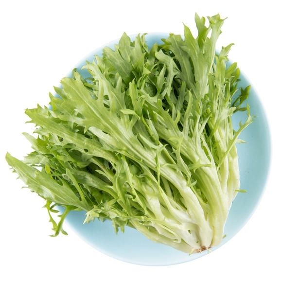 新鲜苦菊苦叶 苦菊九芽生菜狗芽生菜 沙拉菜 健身餐 半斤(样品不)