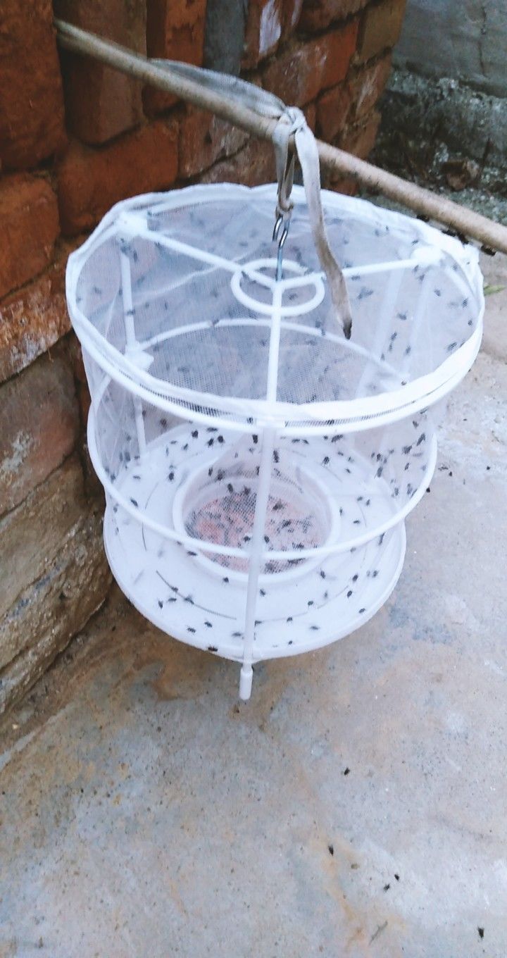 苍蝇笼灭蝇神器环保蝇笼家用农场专用苍蝇神器一扫光定制家恒宝 网状