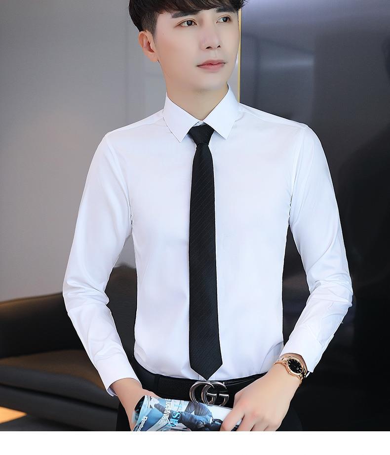 抗皱免烫白衬衫男士长袖商务高端职业正装衬衣春夏季韩版灰色送领带l