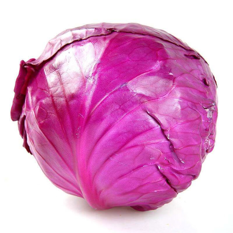 新鲜紫甘蓝农家现摘卷心菜沙拉椰菜紫包菜蔬菜生鲜 3斤【图片 价格 品