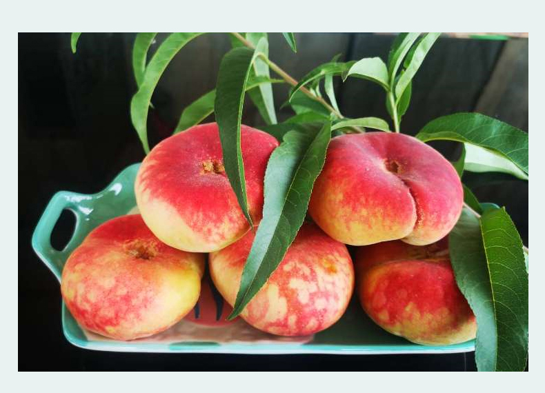 顺丰空运 新疆蟠桃新鲜水果现摘桃蜜桃奶油纽扣蟠桃新疆特产 坏果包赔