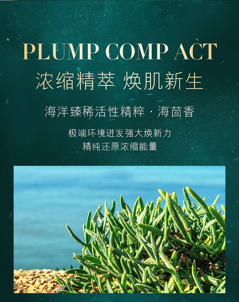 女神之美leadr海茴香焕采盈润精华液补水保湿收缩毛孔30ml 1瓶【图片