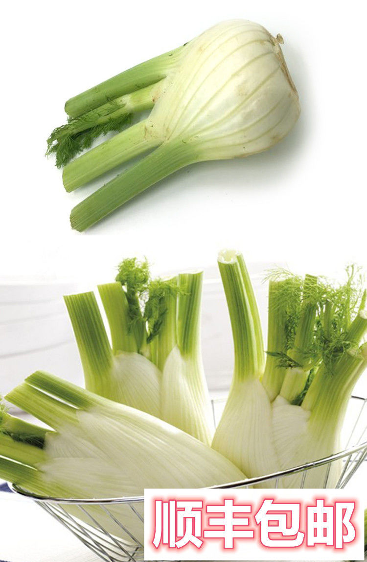 新鲜蔬菜茴香头荷兰球茎茴香西餐香料茴香根西餐配菜沙拉菜 顺丰 2斤