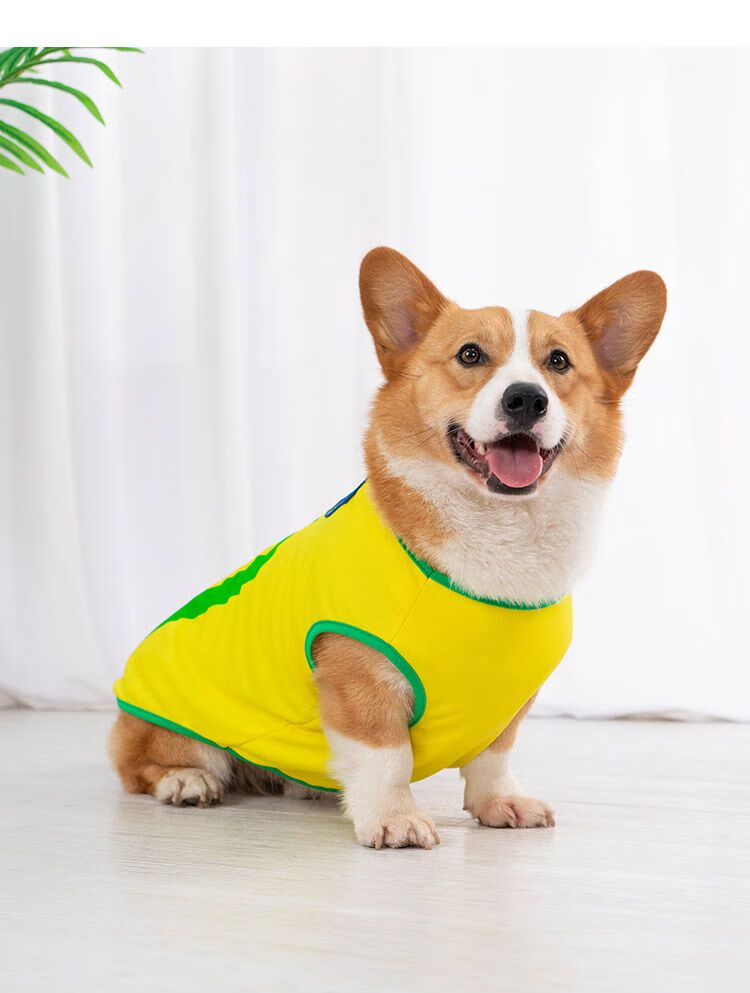 柯基犬衣服狗狗衣服夏季薄款泰迪宠物柯基衣服比熊防掉毛法斗背心小型