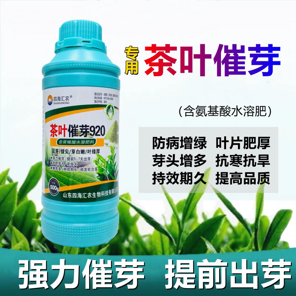 茶叶催芽素叶面肥茶树专用催芽剂920暴芽增产增厚素肥料催芽药 500克