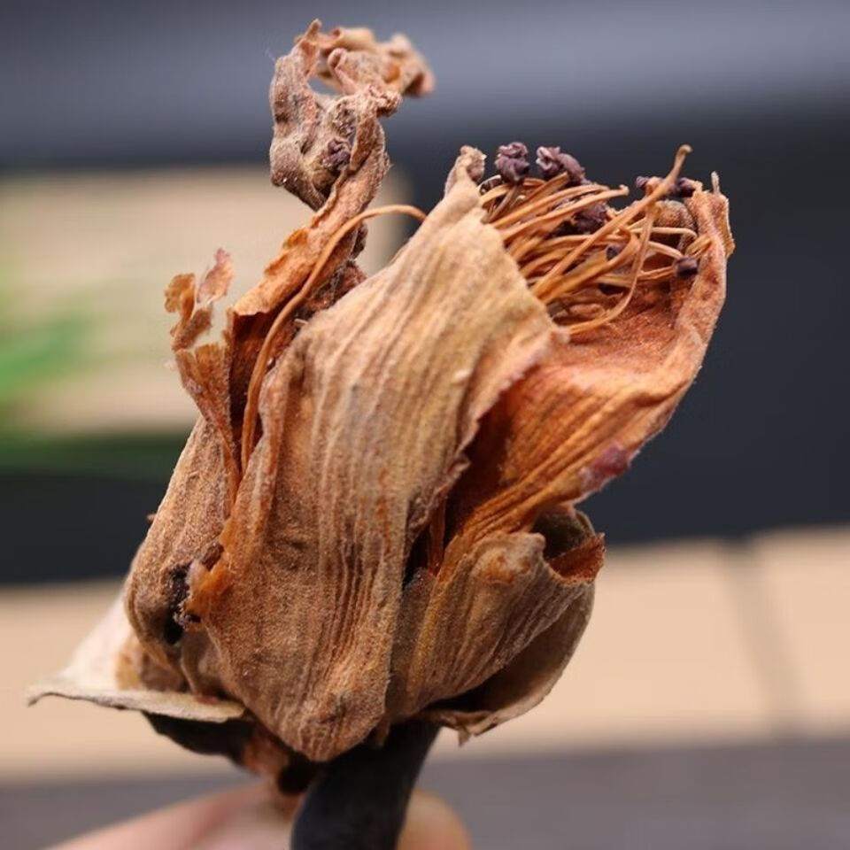 木棉花农家自晒木棉花干正宗500g/250g无硫新花中药攀枝花 精选木棉花