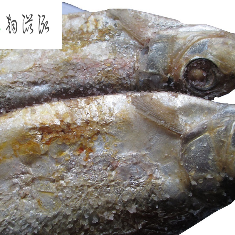 干货咸白鳞鱼一斤咸霉鳓鱼臭香力鱼 500g大咸勒鱼****【图片 价格
