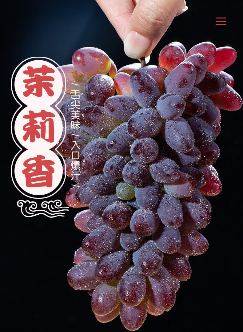 郁金香葡萄新鲜时令水果茉莉香葡萄迷你小葡萄无籽提薄皮纯甜当季整箱
