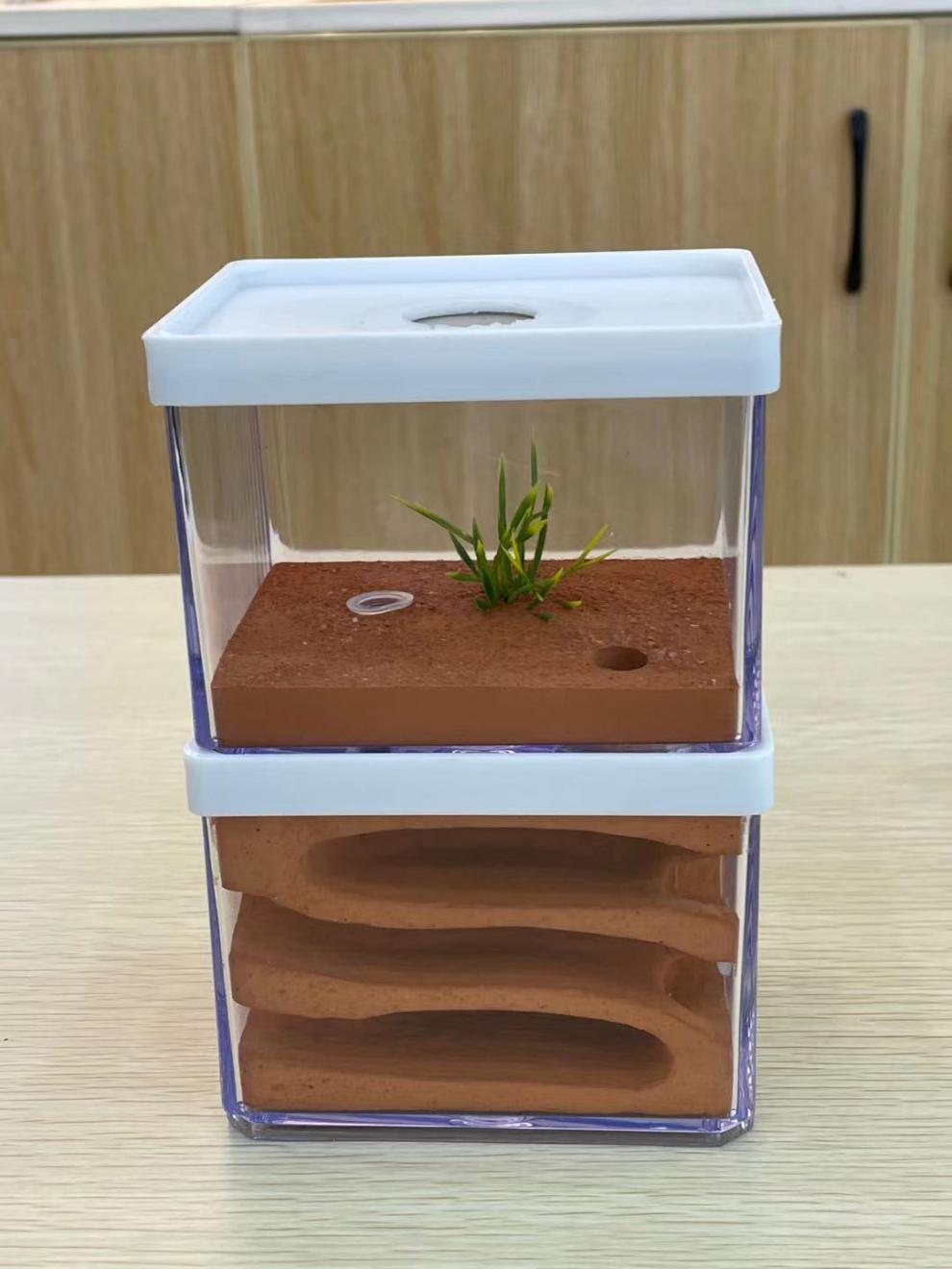 蚂蚁城堡 繁殖版 超大 双层巢 宠物蚂蚁城堡 生态箱盒子工坊窝学生