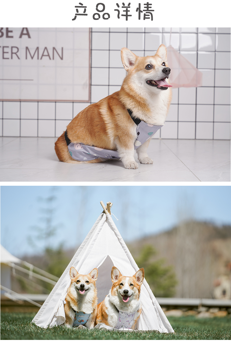 浙宠柯基防水肚兜可调节带松紧分公母狗狗防水肚兜护肚小杰瑞妹妹款xl