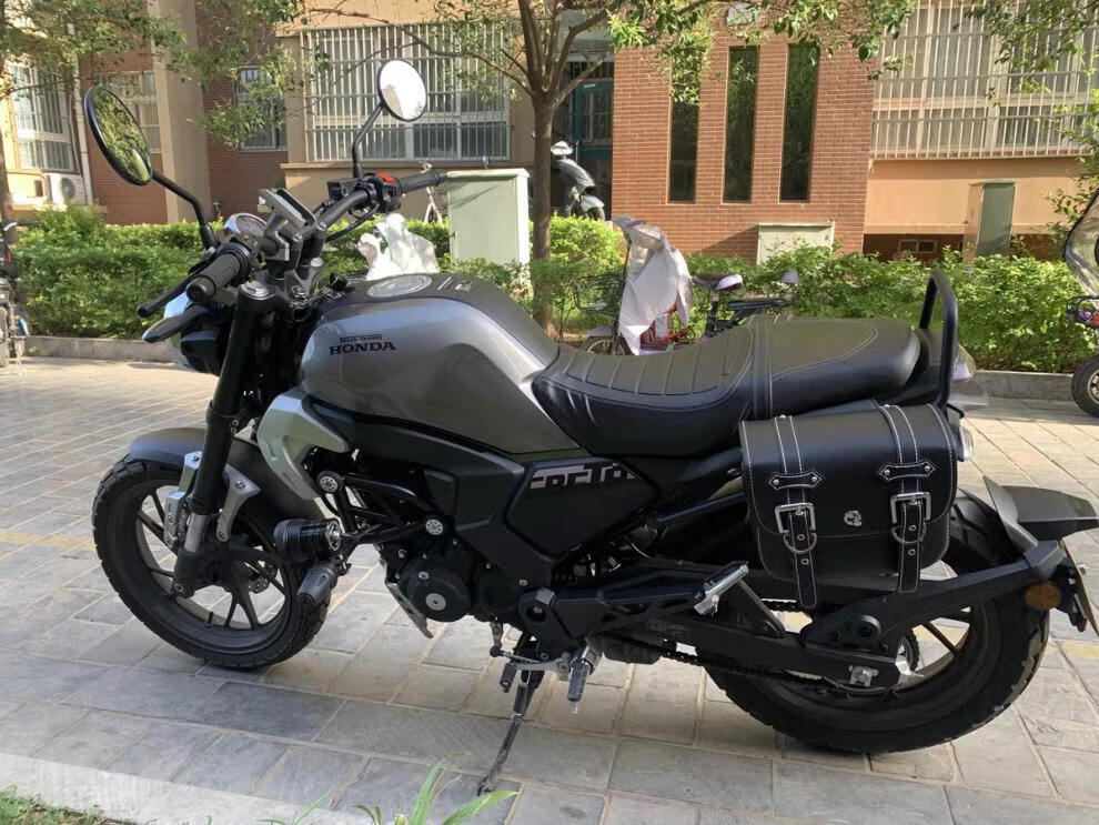 贝纳利幼狮250摩托车边包190tr扶手架鸷道190ss无极300ac挂包靠背 21