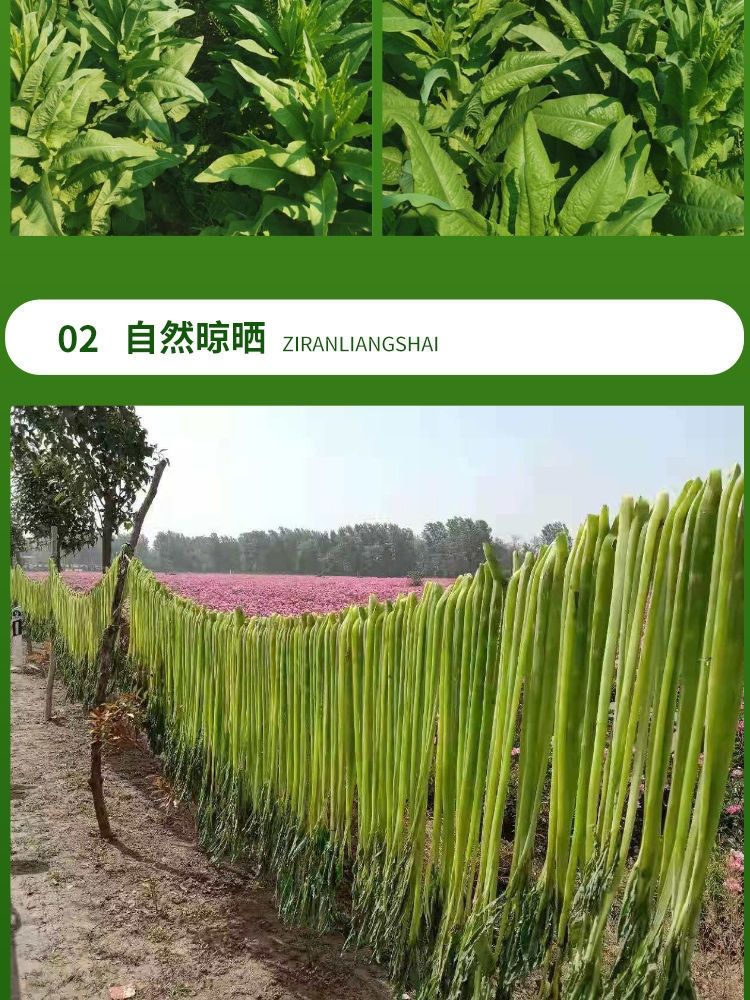 干货贡菜干苔干菜苔菜干响菜义门贡菜脱水蔬菜新鲜干菜亳州土特产纯一