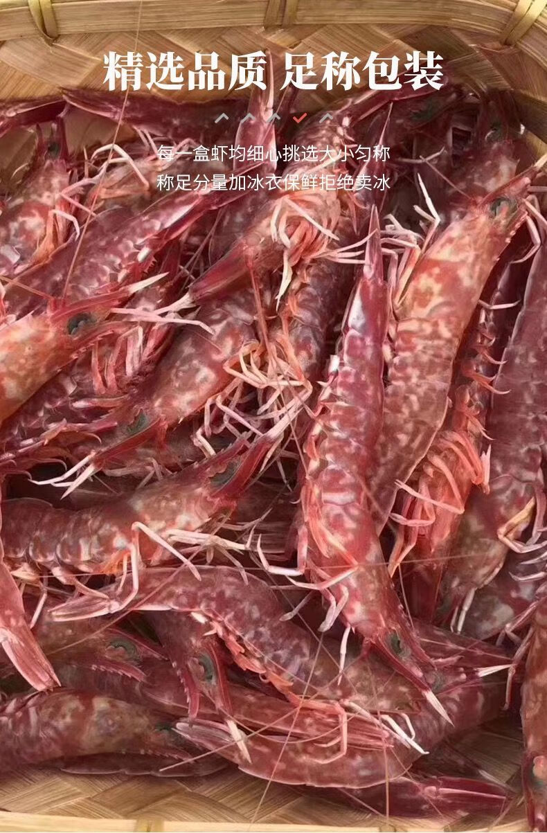 樱花虾厚壳虾海虾900g火焰虾玫瑰虾东山海捕红虾樱花虾鲜活 刺身白灼