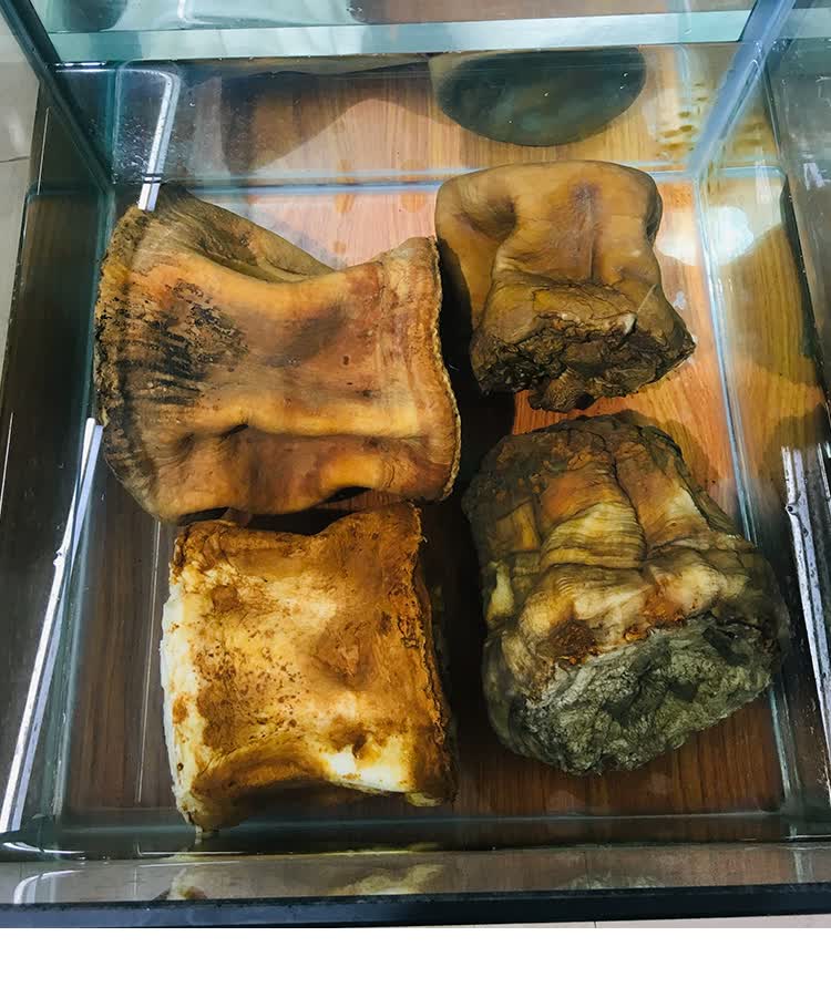 太岁肉灵芝整体带皮白肉土太岁活体泡水养生50g活太岁【图片 价格