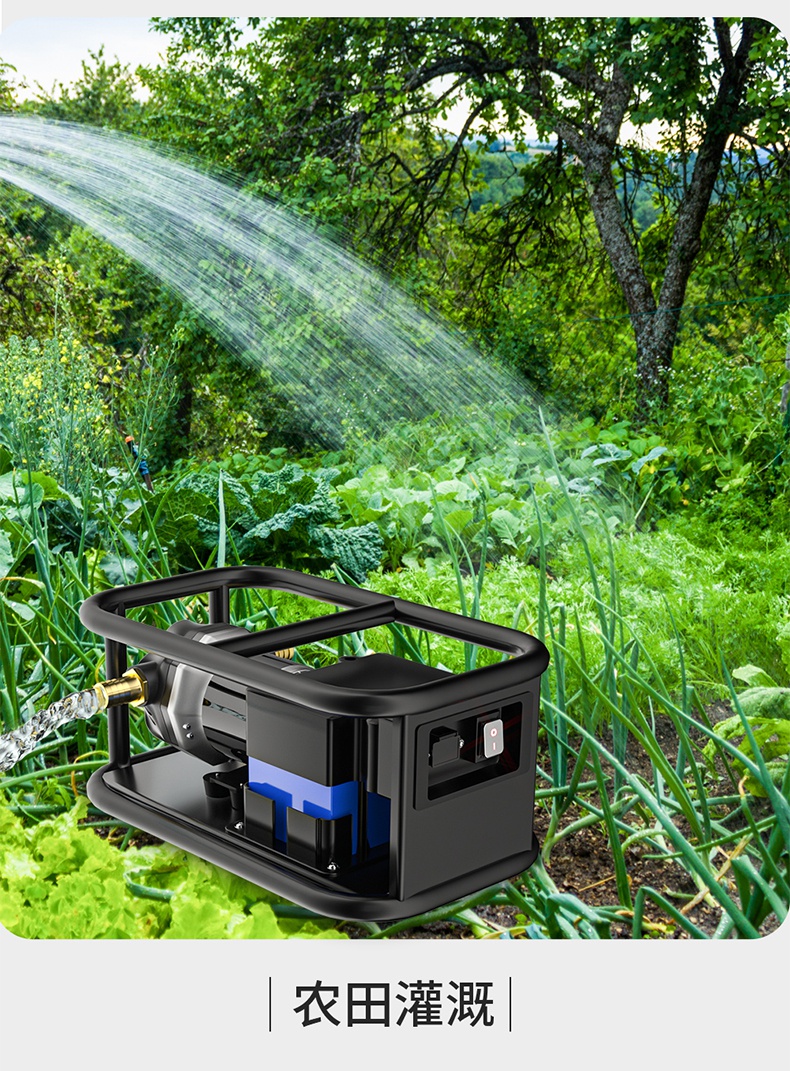 12v充电式抽水泵农村浇菜神器浇水机农用灌溉户外浇地小型抽水机大