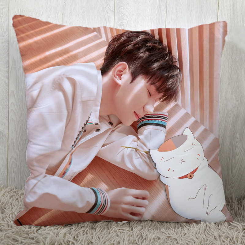 王源抱枕王源抱枕周边定制可爱双面同款玩偶写真创意tfboys生日礼物女
